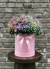 Цветочная композиция из Гипсофила и Розы в шляпной коробке в Новоживотинном