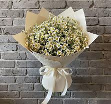 Букет цветов из:  Ромашки #REPLACE_PRED# Новоживотинном