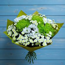 Букет цветов из:  Хризантемы #REPLACE_PRED# Новоживотинном