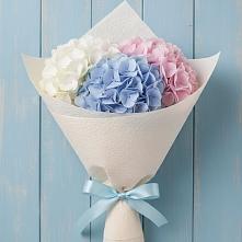 Букет цветов из:  Гортензия в Новоживотинном
