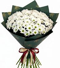 Букет цветов из:  Хризантемы #REPLACE_PRED# Новоживотинном