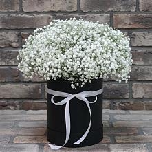 Цветочная композиция из Гипсофила в шляпной коробке в Новоживотинном