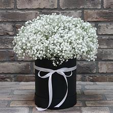 Цветочная композиция из Гипсофила в шляпной коробке в Новоживотинном