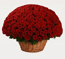 Премиум букет из: Розы в Новоживотинном