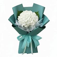 Букет цветов из:  Гортензия #REPLACE_PRED# Новоживотинном